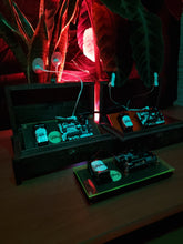 Load image into Gallery viewer, The Natural Synthesizer