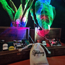 Load image into Gallery viewer, The Natural Synthesizer